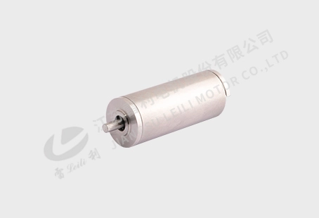 16 Series Hollow Cup Brushless DC Motor