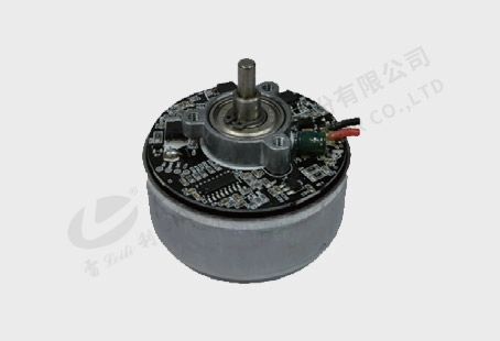 30WS Outer Rotor Brushless DC Motor