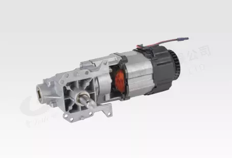55UJ80 DC Brushed Motor