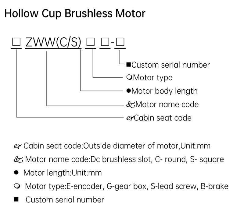 Hollow Cup Brushless Motor