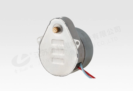TJB2-X Hysteresis Synchronous Motor
