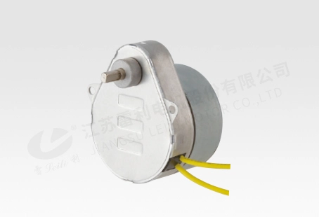 TJB3-X Hysteresis Synchronous Motor